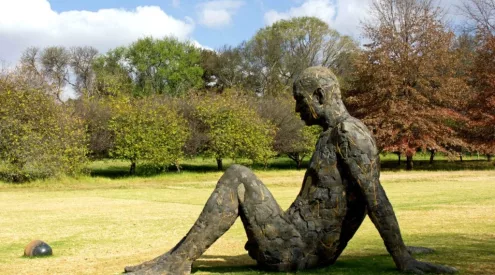 Nirox Sculpture Park