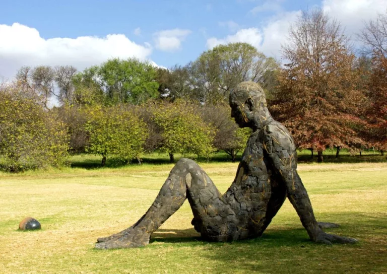 Nirox Sculpture Park