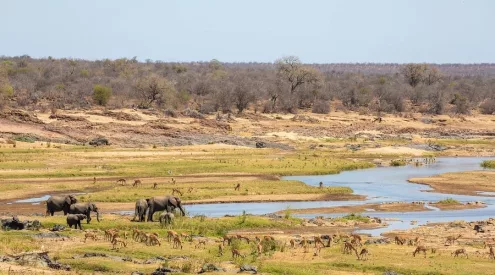 Kruger National Park