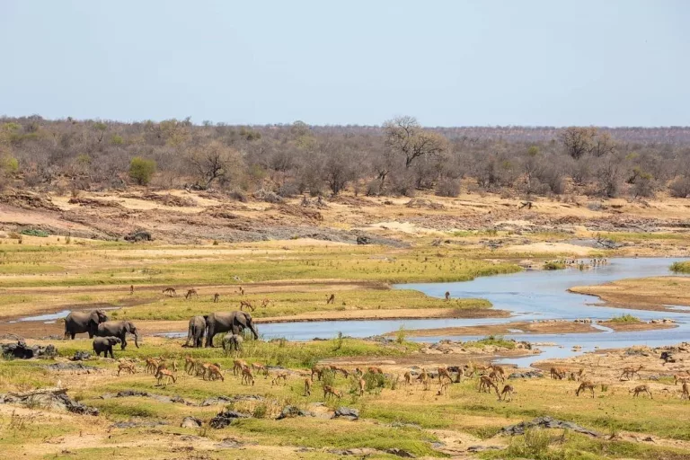 Kruger National Park