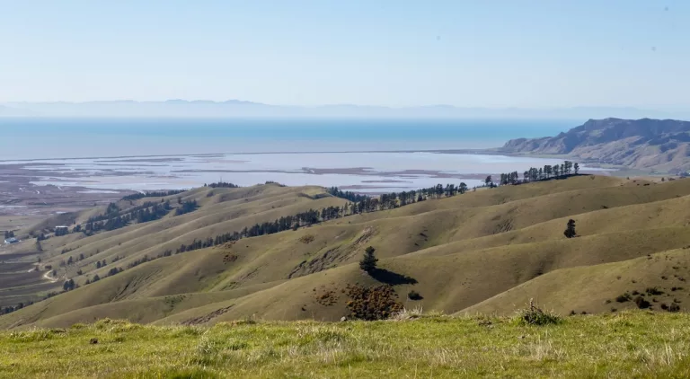 Marlborough, New Zealand