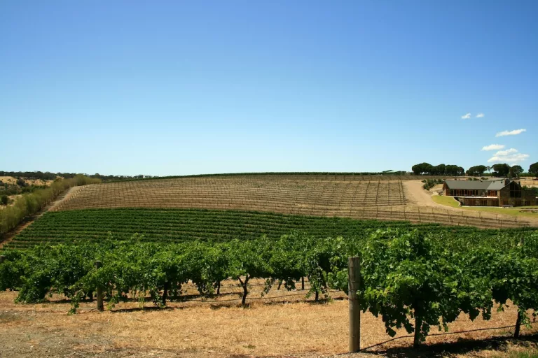 Barossa Valley, Australia