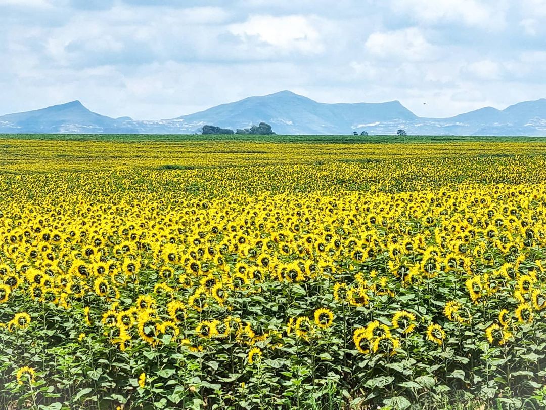 Top 4 South African towns with all the charm Jarastyle travel