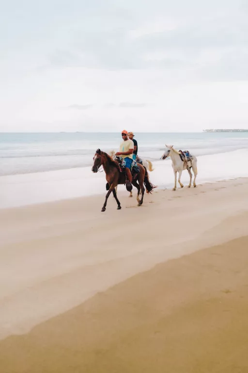 Beach horse riding