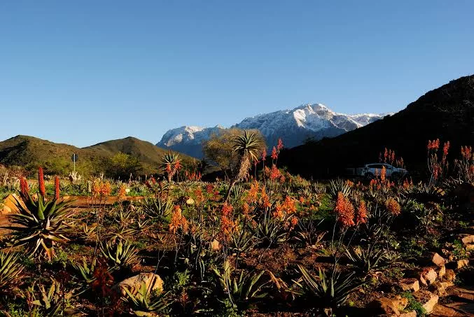 Karoo Desert National Botanical Garden