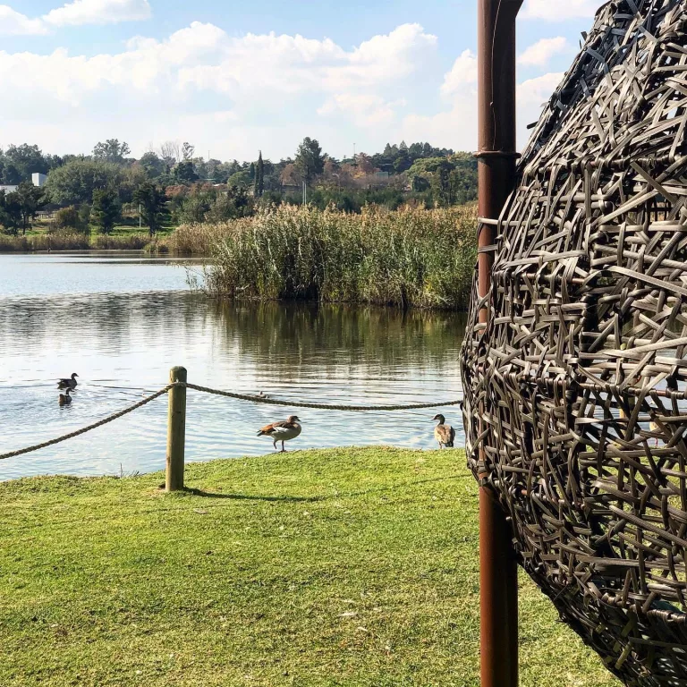 Modderfontein Bird and Sculpture Park - Places to visit in Edenvale