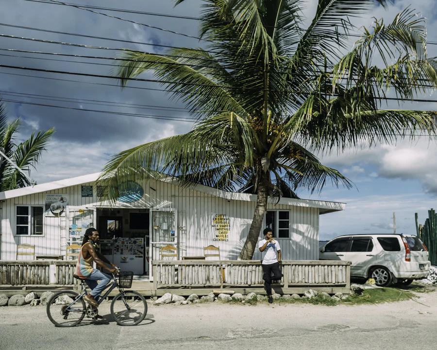 Destination Fun Facts: Jamaica - Vimarsana News