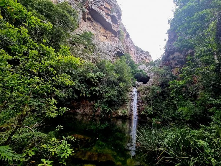 Groendal Nature Reserve - Places to visit in Kariega (Uitenhage)