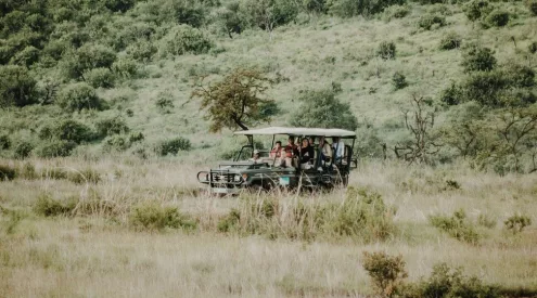 safari live guides leaving