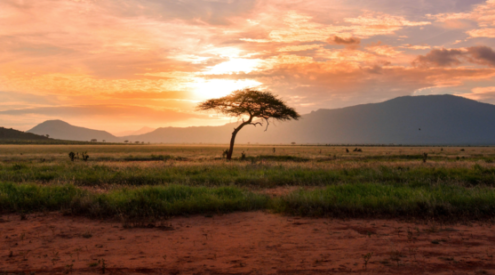 train trips in south africa