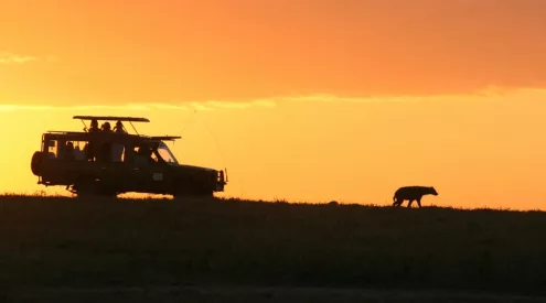 train trips in south africa