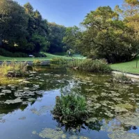Embracing nature in and around Gauteng