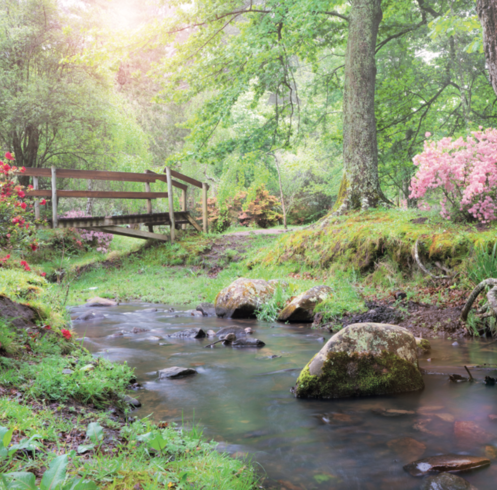 Small town spotlight: Hogsback