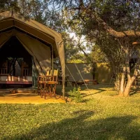 Best camping sites in Gauteng for your next outdoor adventure