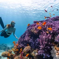Dive sites for beginners with unreal marine life