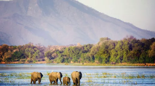 Mana Pools National Park floods, Zambezi Valley flood damage, Zimbabwe safari closure, Rukomechi Bridge damage, African safari road washout, Mana Pools access roads destroyed, ZimParks advisory travel alert, Zimbabwe wildlife park closure 2026, Zambezi River flooding impact safari, Mana Pools UNESCO site wildlife, Getaway Magazine