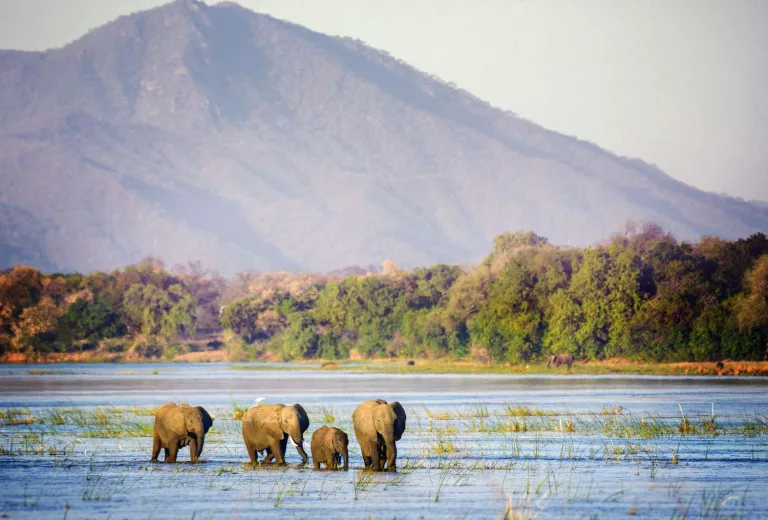 Mana Pools National Park floods, Zambezi Valley flood damage, Zimbabwe safari closure, Rukomechi Bridge damage, African safari road washout, Mana Pools access roads destroyed, ZimParks advisory travel alert, Zimbabwe wildlife park closure 2026, Zambezi River flooding impact safari, Mana Pools UNESCO site wildlife, Getaway Magazine