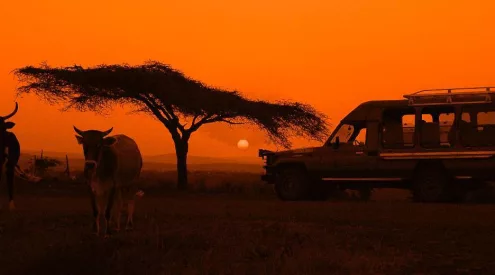 Kgalagadi Transfrontier Park red dunes, Kalahari black maned lion, gemsbok herd Kgalagadi, Nossob camp landscape, Twee Rivieren rest camp, Mata Mata border camp, Kalahari safari vehicle road, desert wildlife South Africa, Upington fuel stop travel, remote safari driving tips, Getaway Magazine