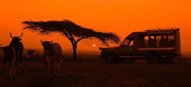Kgalagadi Transfrontier Park red dunes, Kalahari black maned lion, gemsbok herd Kgalagadi, Nossob camp landscape, Twee Rivieren rest camp, Mata Mata border camp, Kalahari safari vehicle road, desert wildlife South Africa, Upington fuel stop travel, remote safari driving tips, Getaway Magazine