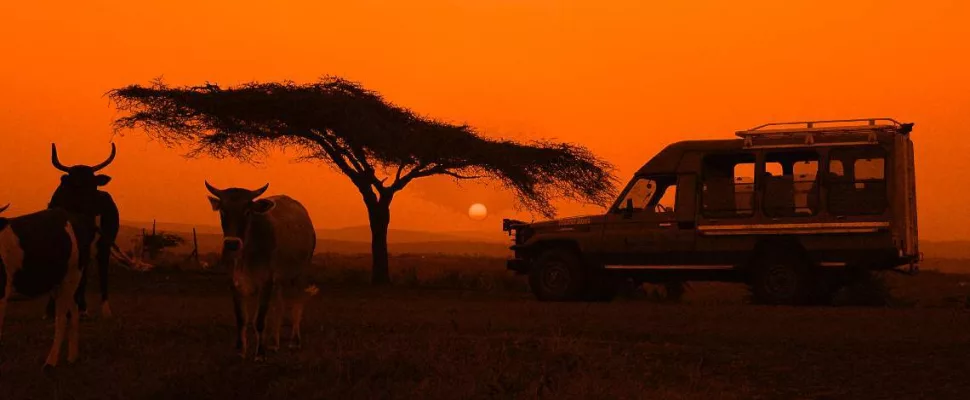 Kgalagadi Transfrontier Park red dunes, Kalahari black maned lion, gemsbok herd Kgalagadi, Nossob camp landscape, Twee Rivieren rest camp, Mata Mata border camp, Kalahari safari vehicle road, desert wildlife South Africa, Upington fuel stop travel, remote safari driving tips, Getaway Magazine