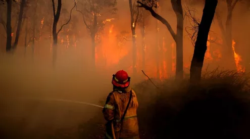 Western Cape fire damage farms, Overberg burnt fields, Cape Winelands vineyard fire aftermath, South Africa agricultural fire losses, West Coast wildfire damage, Garden Route burnt land, farmers rebuilding after fire SA, climate change fires Western Cape, invasive alien clearing South Africa, wildfire impact agriculture South Africa, Getaway Magazine