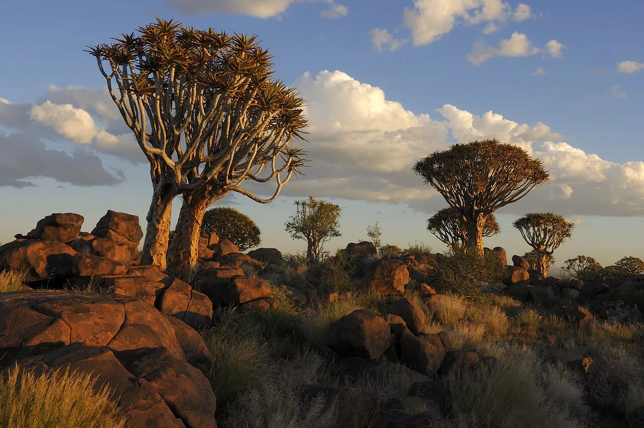 South Africa’s living fossils: Ancient survivors still walking the Earth