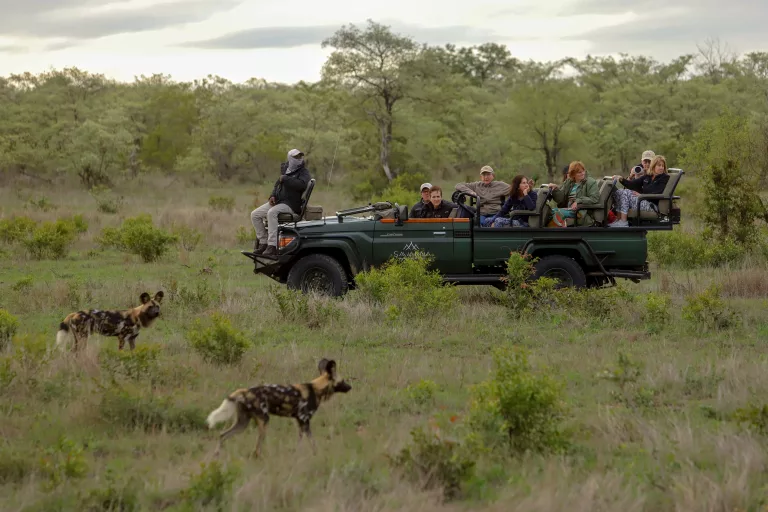 Night game drives South Africa