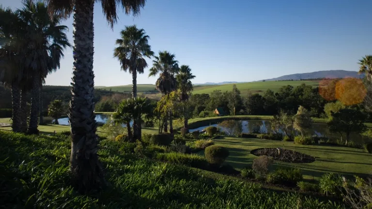 Western Cape spa 