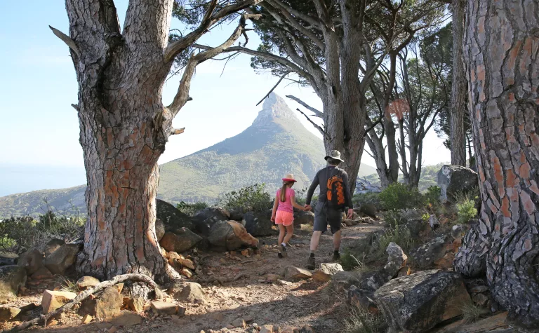 South Africa's bucket-list adventures, ranked by iconic status