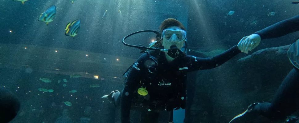 scuba diving