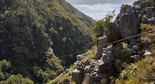 cape canopy tour