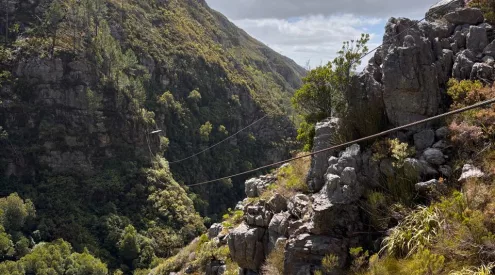cape canopy tour