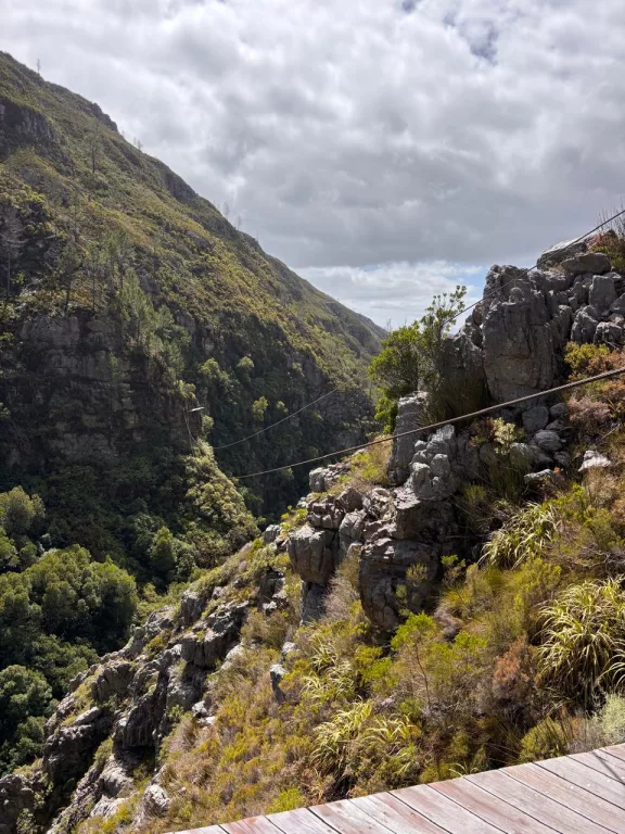 cape canopy tour