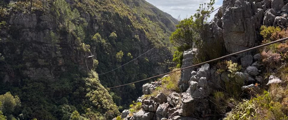 cape canopy tour