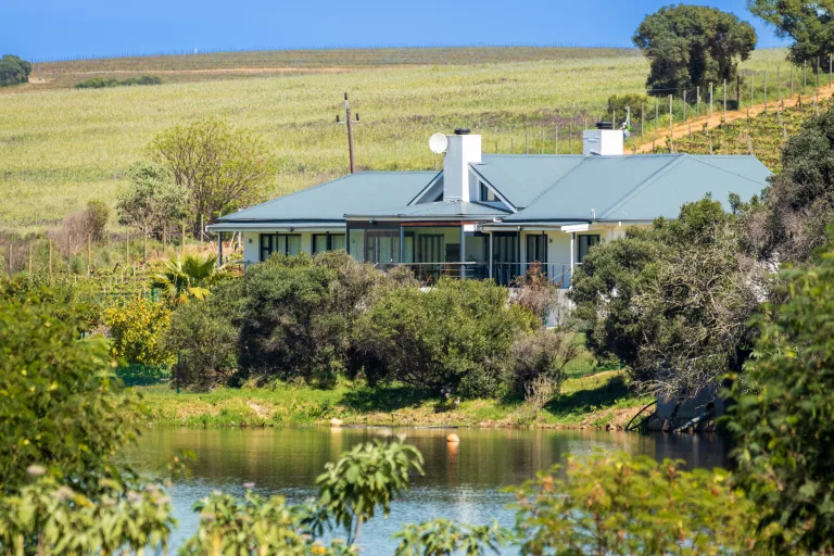 Accommodation with resident animals South Africa