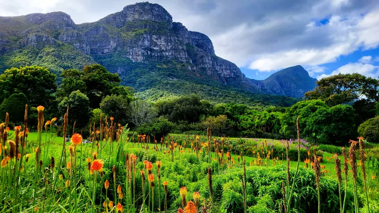South Africa's best botanical gardens