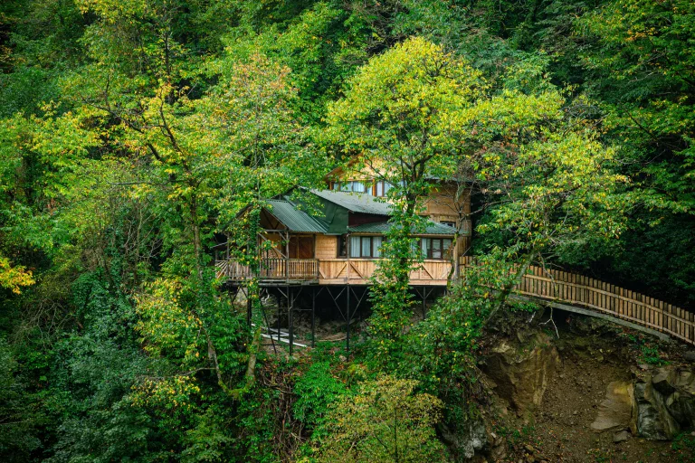 Treehouses You Can Book in South Africa 