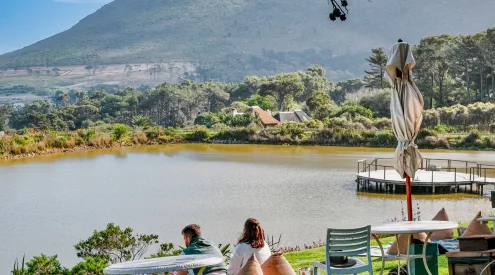 South Africa tea gardens