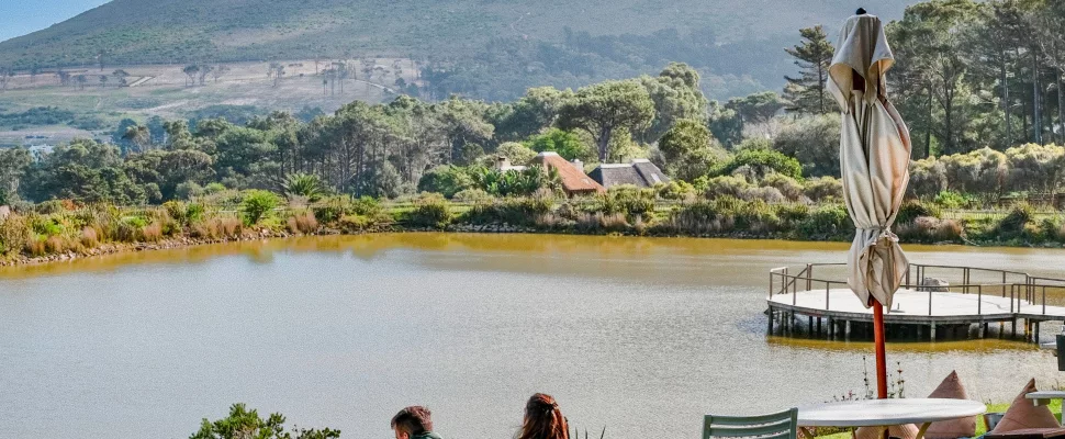 South Africa tea gardens