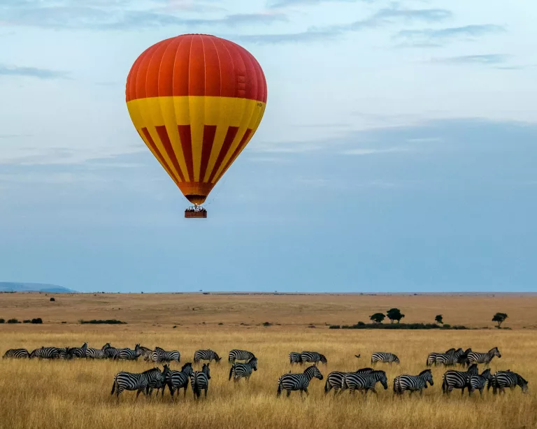 hot-air balloon