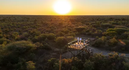 Botswana Footprints 5