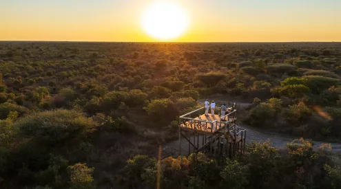 Botswana Footprints 5