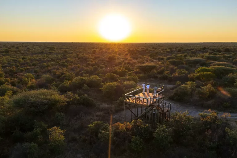 Botswana Footprints 5