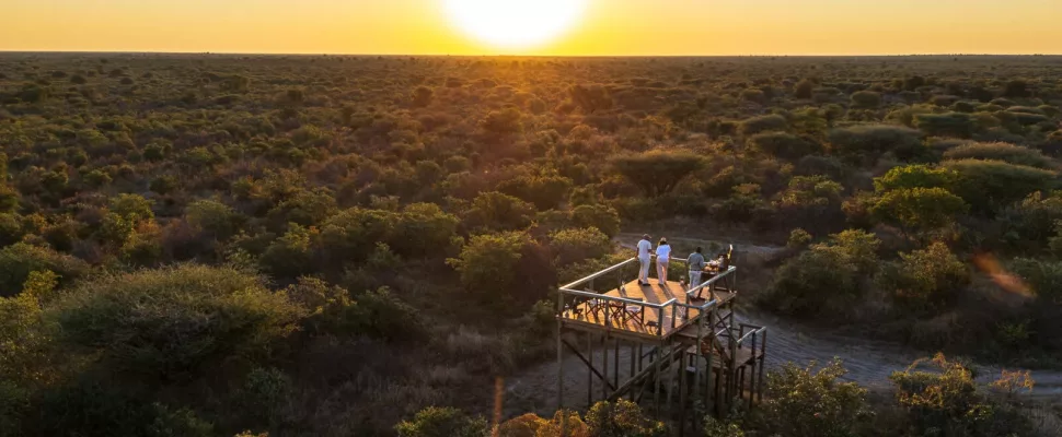 Botswana Footprints 5