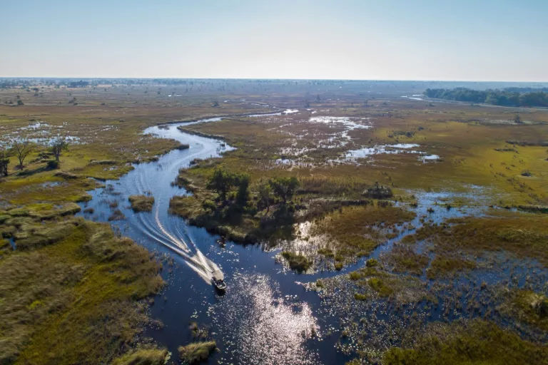 Botswana Footprints 5