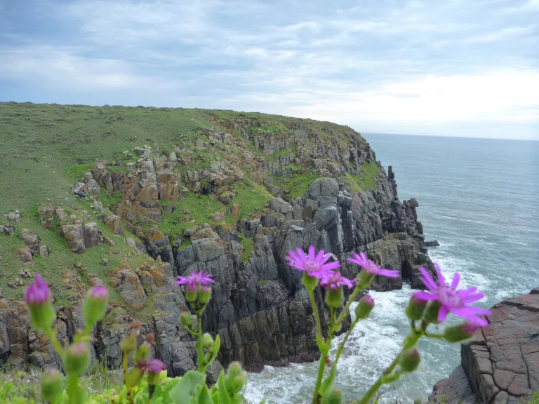 Wild Coast road trip