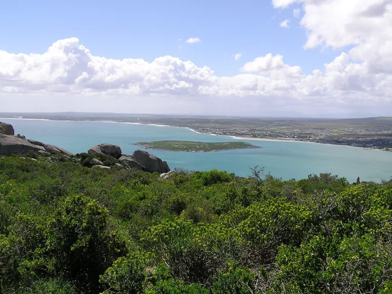 last of winter in South Africa
