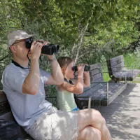 7 places where kids can become junior birders
