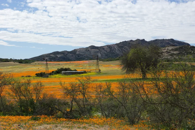 spring road trips