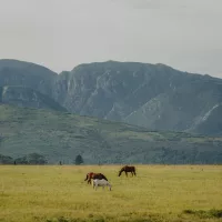 Saddle up: 9 horse-riding stays worth travelling for in South Africa